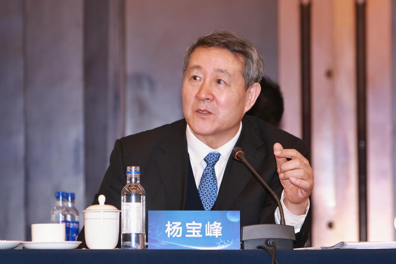 (杨宝峰院士总结发言) 配图3