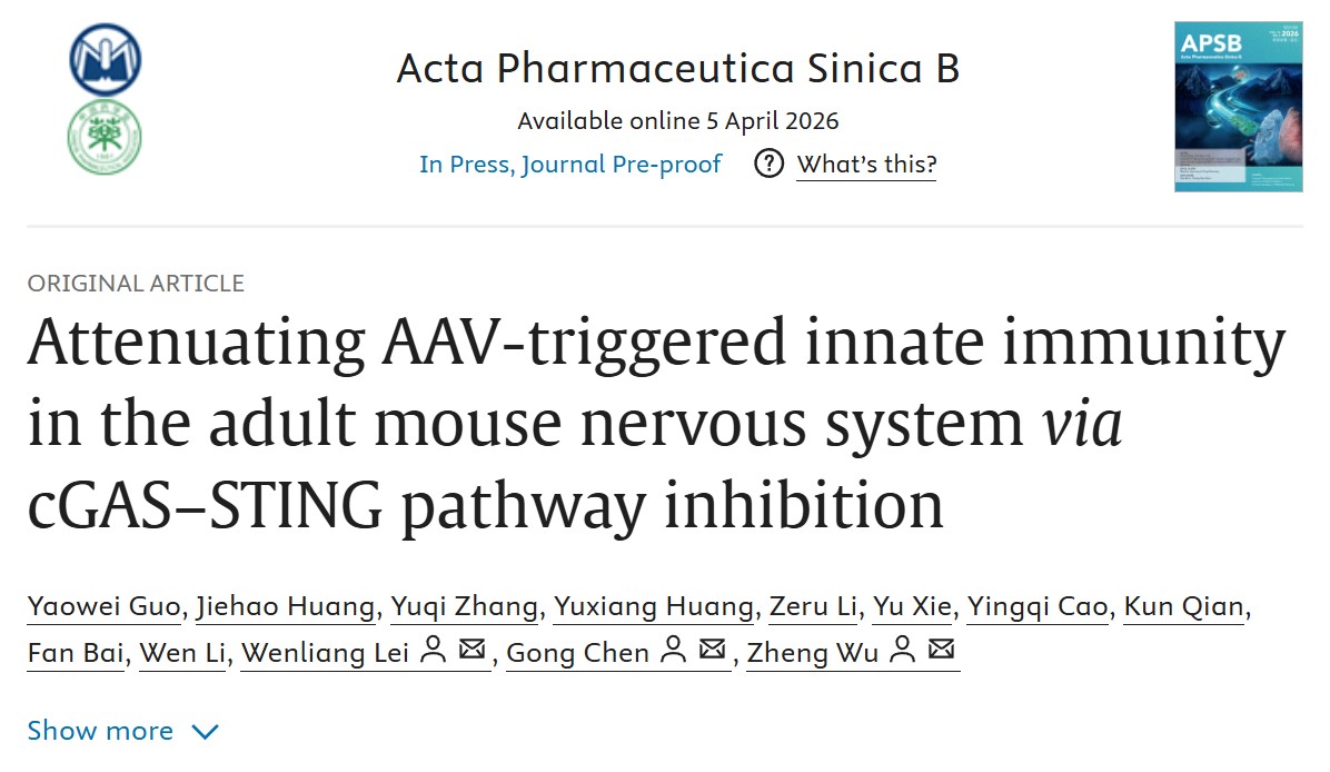 吴政、陈功教授团队Acta Pharmaceutica Sinica B：抑制cGAS-STING通路减轻高剂量AAV诱导的神经毒性